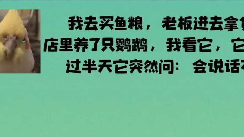 烘焙原料厂家保质期说明：揭秘延长与保障