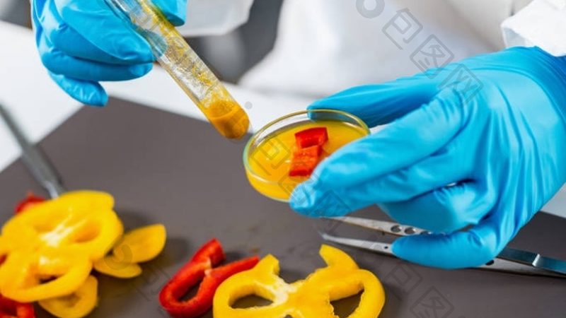 食品代加工包装设计费用：揭秘成本构成与优化策略**
